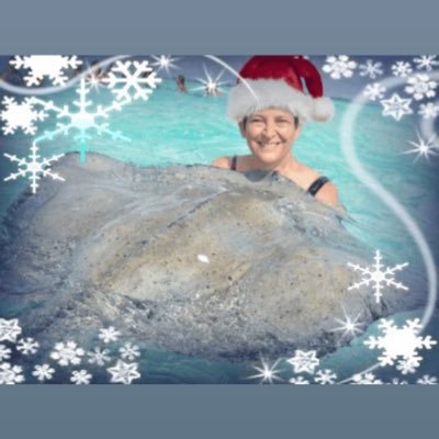 kp0343's profile picture. life is good/beach lover/blessed/Dodger fan/cancer free/#HailState