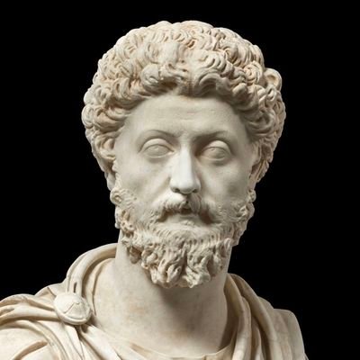 Molle333's profile picture. Father, son, brother, Veteran, jiu-jitsu amateur, body hacker, jokester, free-thinker.