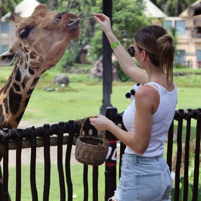 CraftyTeacher3's profile picture. "Invest wisely, work wisely, live wisely."🇺🇸

"My mindset is my greatest asset."🇺🇸

"From dreams to strategy, from strategy to wealth."🇺🇸