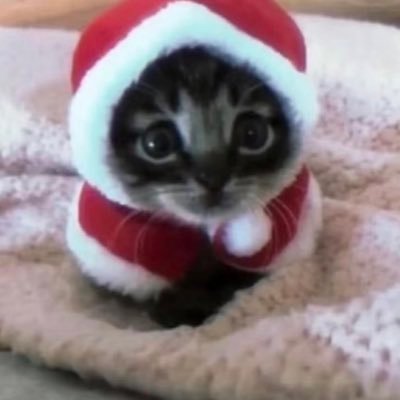 angel puppy atlas ✭999𖦹𝄞🪽 Profile