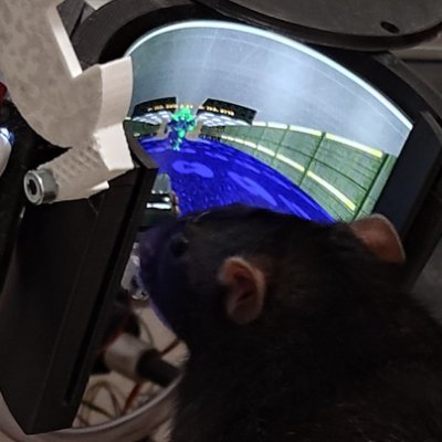 zainodre's profile picture. 20yo