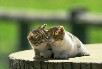 SensationJ_sns's profile picture. 