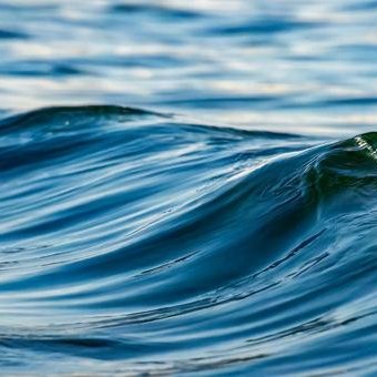 alukach's profile picture. EEE