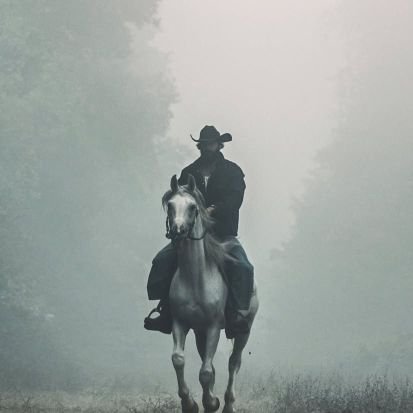 ShriShriChamp's profile picture. 