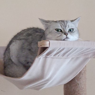 KafoonH63145's profile picture. 自称原型师，希望能多和大佬们交流！！♥(´∀` )人
中文、日本語、English！
合作可以联系945117440@qq.com