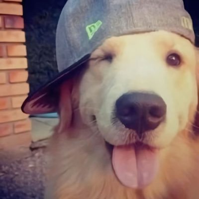 pablizzzz's profile picture. Ig:pablomende.z