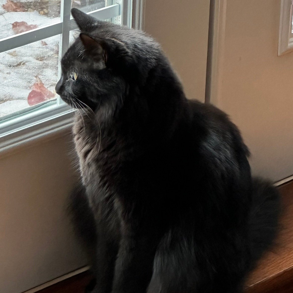 jwex1976's profile picture. 