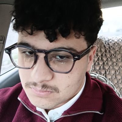 HamzaDev0's profile picture. Freshman 
cyber security engineer at NTU .

Hi , im here to share with you my coding/cyber security journey