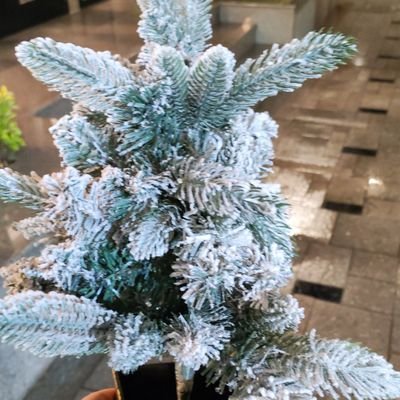 katankin81240's profile picture. 