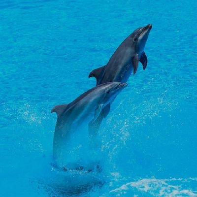 LibertyInyang2's profile picture. IT'S GONNA BE GOOD DAY ❤️ LIBERTY 🗽