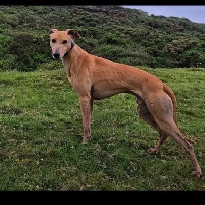 NNhlanhla33142's profile picture. Just a soul with big dreams 👑