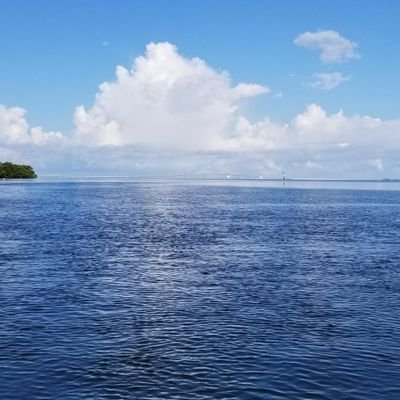 hustla4lyfee's profile picture. #all #good