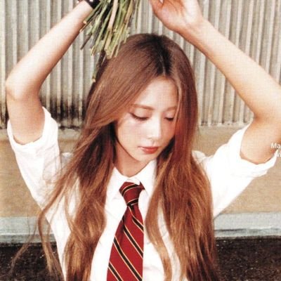 whisperscenes_'s profile picture. 🥭   :   #디노   →  certified mango lover , https://t.co/P3G86srfms