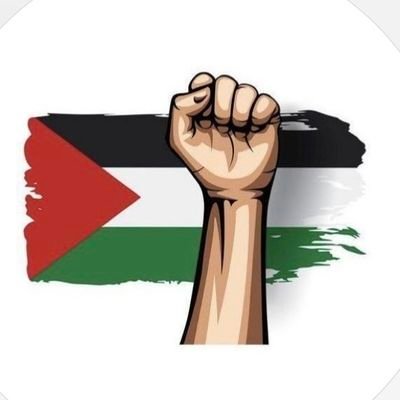 hamada_project7's profile picture. Seven Sanabel is a volunteer charity team to raise funds and assist families affected in the Gaza Strip as a result of the war. 🇵🇸🙏