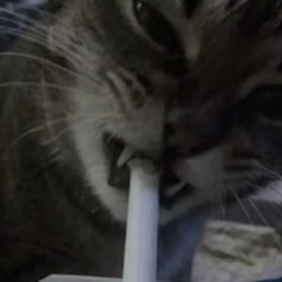 zeb_sql's profile picture. 