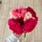 Manal__Samer's profile image