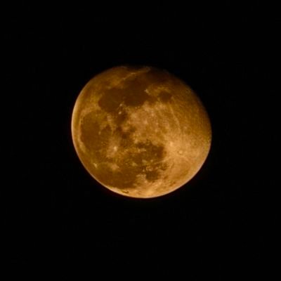 decoder_mherwal's profile picture. B Tech CSE Engineer 🎓
Became a good programmer
and development researcher
🔬🔬