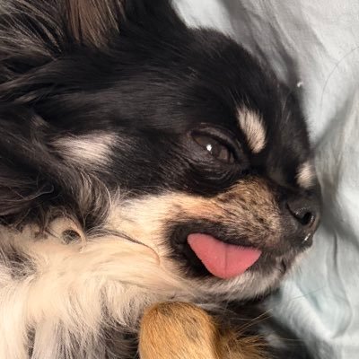 hiro17296174's profile picture. 27歳 /非情報系修士卒→データエンジニア