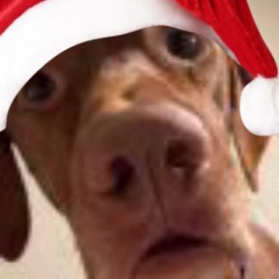 dingleCS2's profile picture. https://t.co/dZPBXJrxfI / shitposts / socials / cars / skins / esports