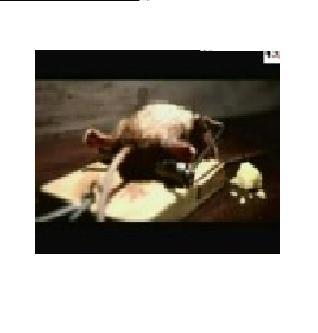 사람이 먼저고 정의와 가치가 우선이라고 생각합니다. 문재인 대통령을 지지합니다.