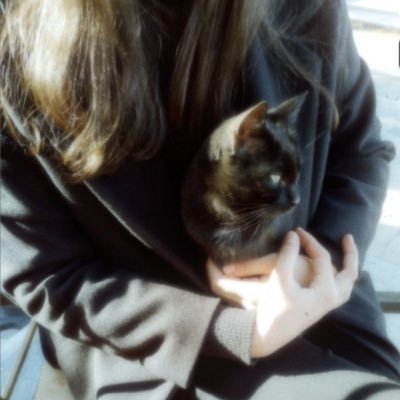 musesl's profile picture. 