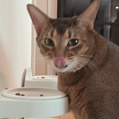 haveanicedayล์! Profile