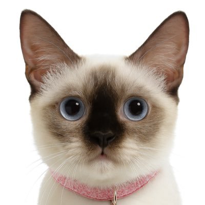 helov3s_gemini's profile picture. you're gold baby. Solid gold💫