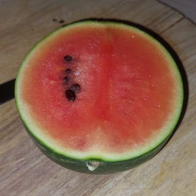 bar_veronique's profile picture. 