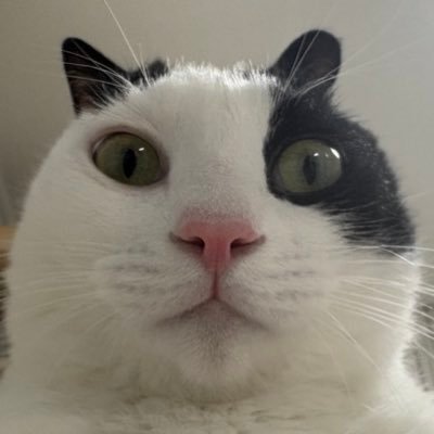 worldnonoze's profile picture. 정지먹음 아는 사람 팔로 부탁해요••