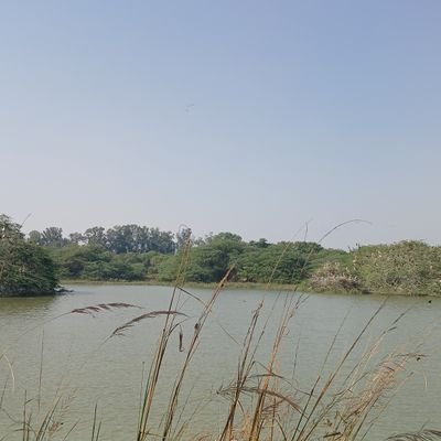 Pratiushencode's profile picture. 