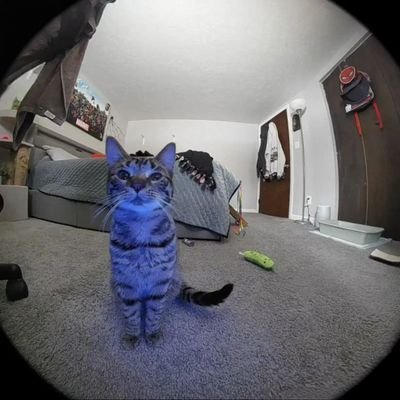 Its_Baco1's profile picture. Private life, small circle, happy heart, peaceful life.// 30k acc suspended// 

Kiburi achia watu hawajui life