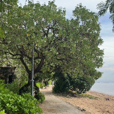 disditsky's profile picture. You're getting it, flower 🌸