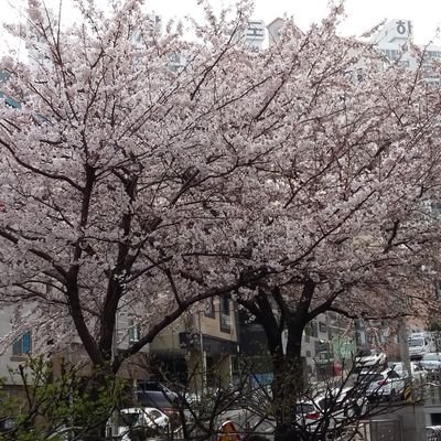 MeyyappanSM_25's profile picture. 