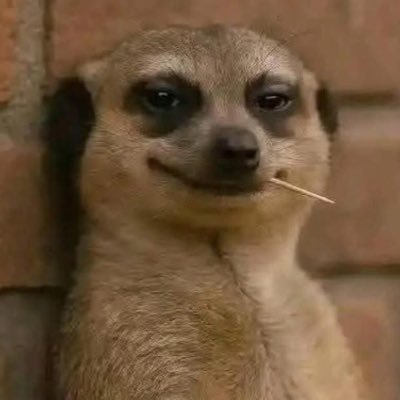 janvinsha's profile picture. Software Engineer - I build solutions @nexaerolabs • Building: 🤖@pitchdial → AI sales rep for SMBs • @resfiner → Instant resumes.