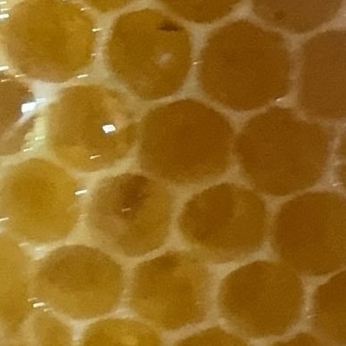 Thumin124's profile picture. min