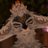 ArtinyTheDerg's profile image