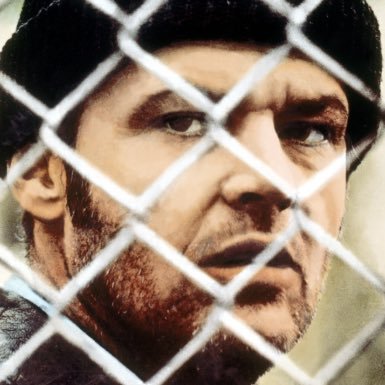 MovieBrained's profile picture. Iconic movie stills. Rotten Tomatoes disrespecter