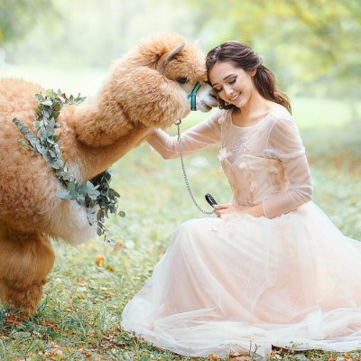 Rachael_Myers__'s profile picture. How you do one thing, is how you do everything.
#MAGA #REPUBLICAN #CONSERVATIVE 🥂 #FASHION  #BUSINESS ✈️ TRAVELED 🚫 PORN