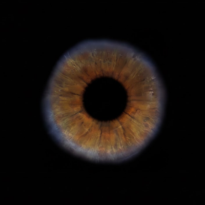 popa911's profile picture. 