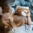 myres36evi2501's profile image