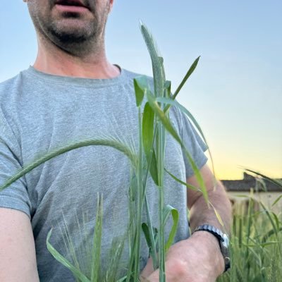 patvergnes's profile picture. 