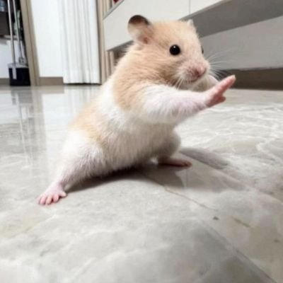 daisuke0143's profile picture. エグゼイド大好き(ゲンムというか神が好き)
現在ルカリオ大好き波動の勇者だよみんな    
ベガもん様@vgz083大好き ヤバい写真が好物 パプワくんにニセ勇者地獄編 ゆるキャン△は癒しSplatoon3最高もみじトピソナ