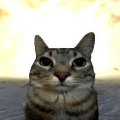 itsCerx's profile picture. Perma AFK stopped using this platform glhf in life everyone