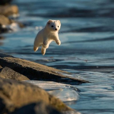 zfgsr39167954's profile picture. Fashion designer. Quiet luxury, thoughtful design, long-lasting beauty.