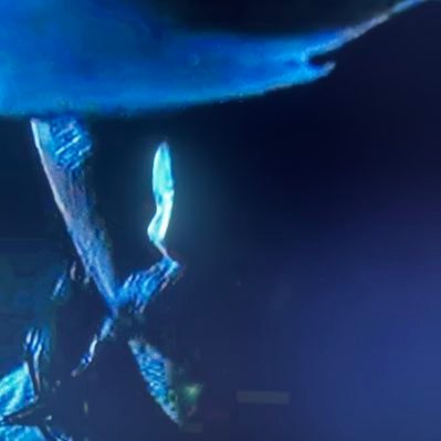 hazel8king's profile picture. https://t.co/K8ktn72Kff / 🎸🎚️🕵️‍♂️💸+