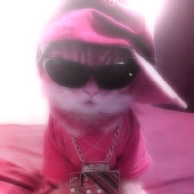 bru_uai's profile picture. born to be uai • publiciotária • @becriativ0 • ⊬