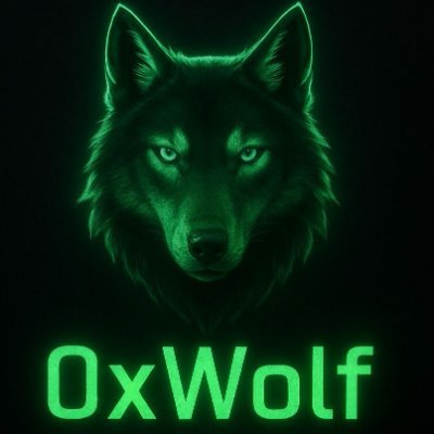 0Xwolf_0's profile picture. Junior penetration tester| CTF Player|
| Bug hunter |
