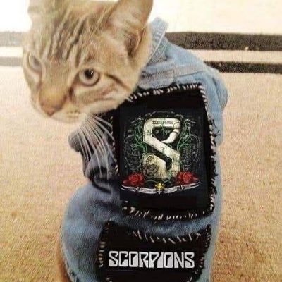 kirilovany's profile picture. 