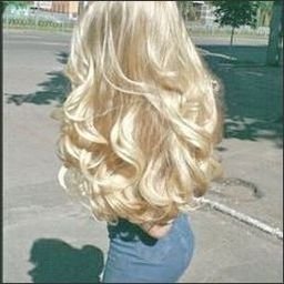 Reapa962's profile picture. 