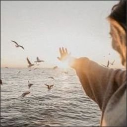 mayers92659's profile picture. 